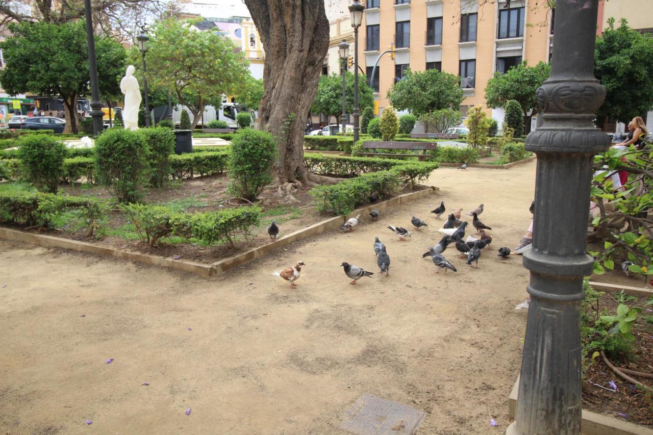 Apartament Del Parque Flats Monkey 1 Malaga Zewnętrze zdjęcie
